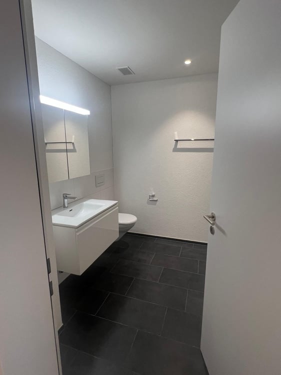 3.5 Zimmerwohnung mit grosszügigen Sonnenterasse 7