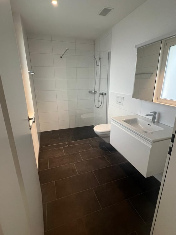 3.5 Zimmerwohnung mit grosszügigen Sonnenterasse 6
