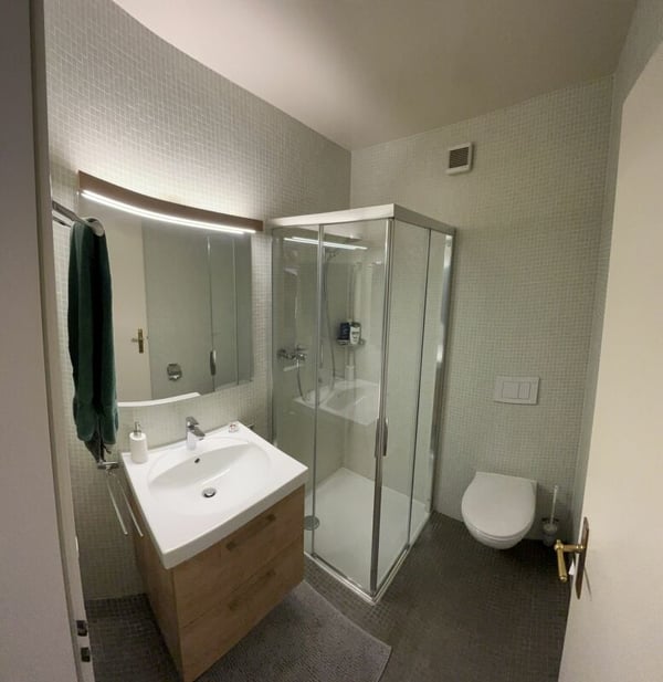 Superbe logement avec cachet et vue dégagée 6