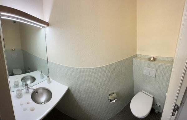 Superbe logement avec cachet et vue dégagée 7