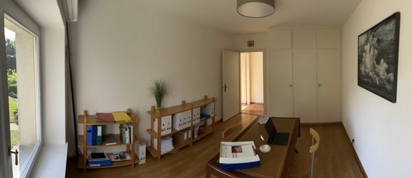 Superbe logement avec cachet et vue dégagée 8