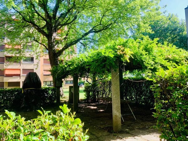 1.5 LOCALI IN ZONA TRANQUILLA 6