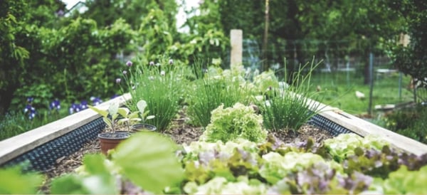 Libre de suite - Magnifique appartement de 1.5 pièces, 72 m² - Sion - Green Parc 13