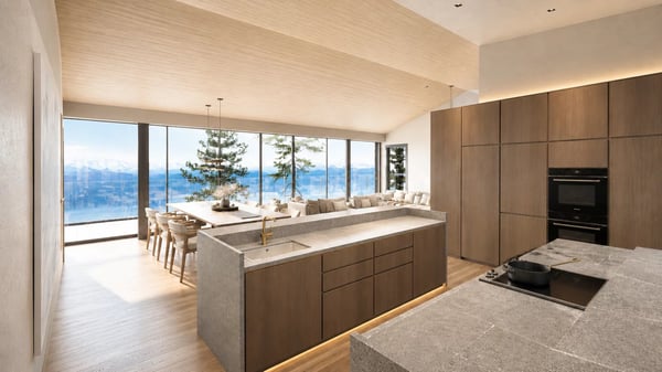 Appartement 4.5 pcs neuf de haut standing avec grande terrasse et vue imprenable 3