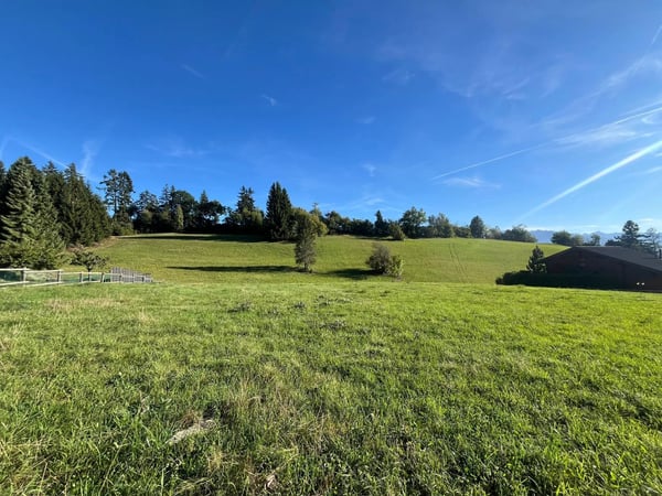 Chalet neuf haut de gamme de 4,5 pièces à Crans-Montana 9