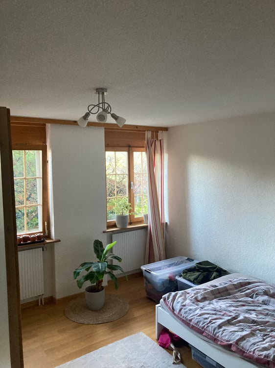 1-Zimmerwohnung am Fusse des Stockhorns 4