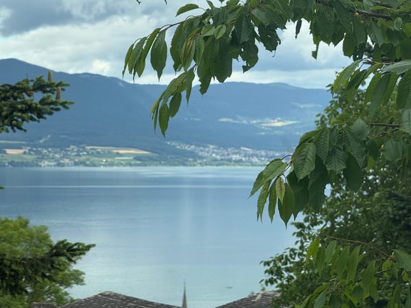 Spacieuse villa bénéficiant de calme et d'une très belle intimité 1