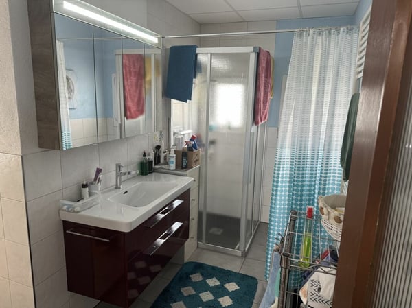 Raum für Familien und Visionen - Einfamilienhaus mit moderner Loft und grosszügiger Infrastruktur 6