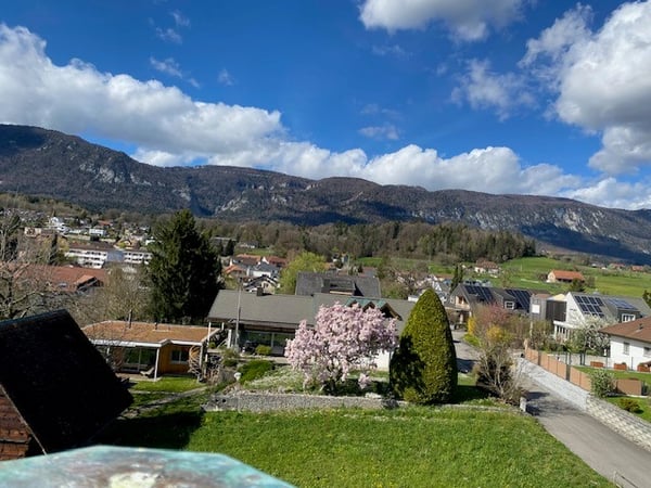 Grosszügige 3.5-Zimmer-Wohnung mit 125 m² und gedeckter Terrasse 4