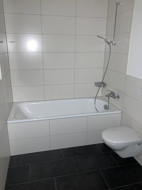 3.5-Zimmer mit WOW-Faktor 7