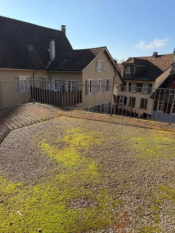 Charmante 1.5-Zimmer-Wohnung mit grosser Terrasse in Laufenburg 10