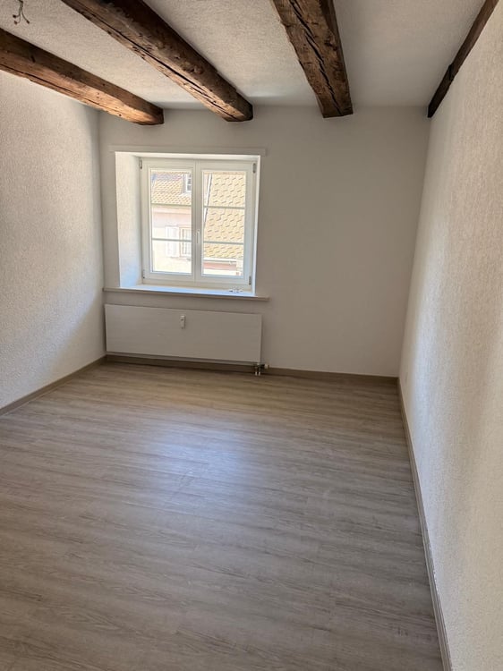 Charmante 1.5-Zimmer-Wohnung mit grosser Terrasse in Laufenburg 4
