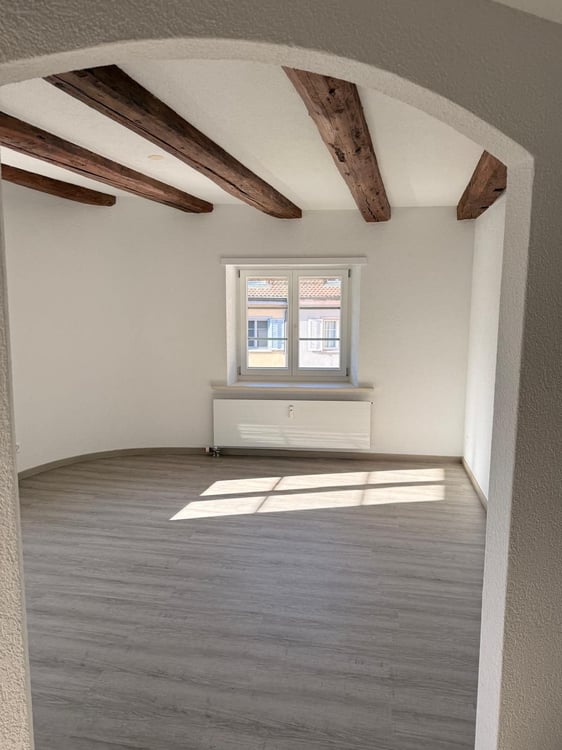 Charmante 1.5-Zimmer-Wohnung mit grosser Terrasse in Laufenburg 2