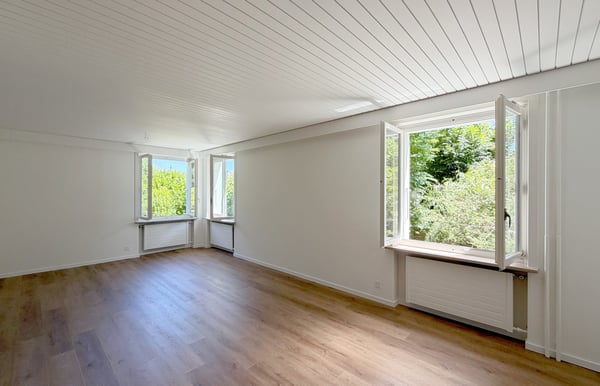 1.5 Zi.-Doppel-Einfamilienhaus 3