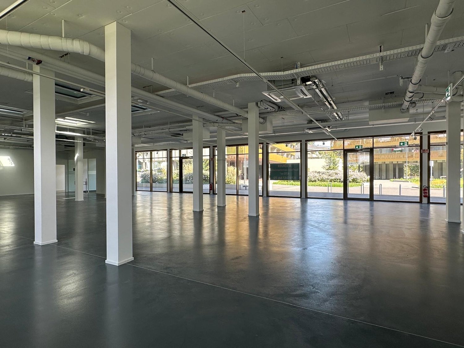 Empty industrial space with high ceilings, glass walls, concrete floor, and white columns, with natural light streaming in from the large windows.
