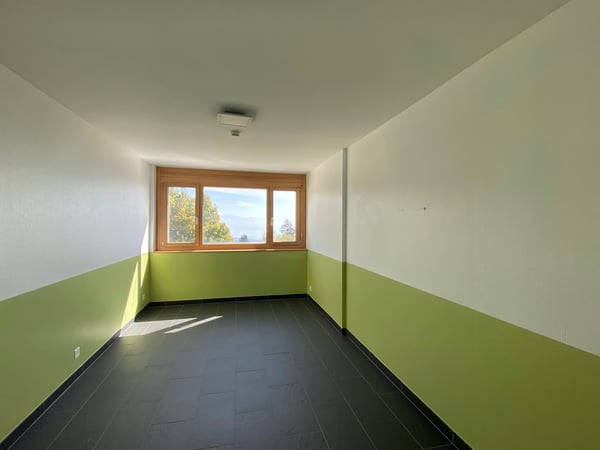 Complexe d’exception de 1’900 m² – Idéal pour fondation, centre de loisirs ou institution 6