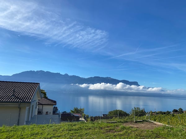 À LOUER À CHARDONNE – Villa jumelée au cœur des vignes 9
