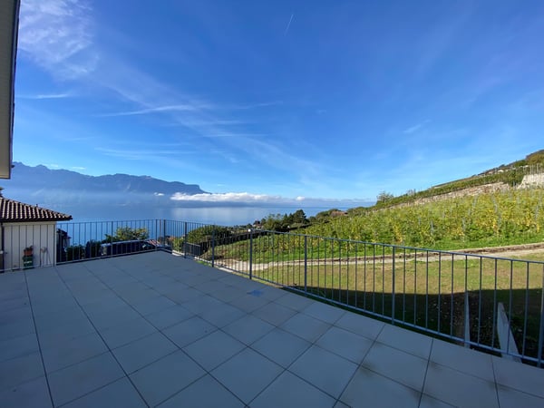 À LOUER À CHARDONNE – Villa jumelée au cœur des vignes 2