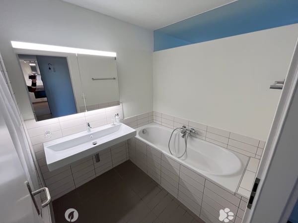 Sanierte 3.5-Zi-Whg mit Terrasse und Balkon 7