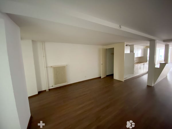 146m2 Loft im Zentrum von Biel 6