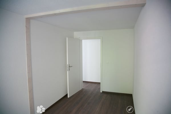 Helle 4.5 Zi-Wohnung nähe Altstadt 2