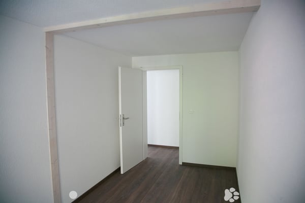 Helle 4.5 Zi-Wohnung nähe Altstadt 2