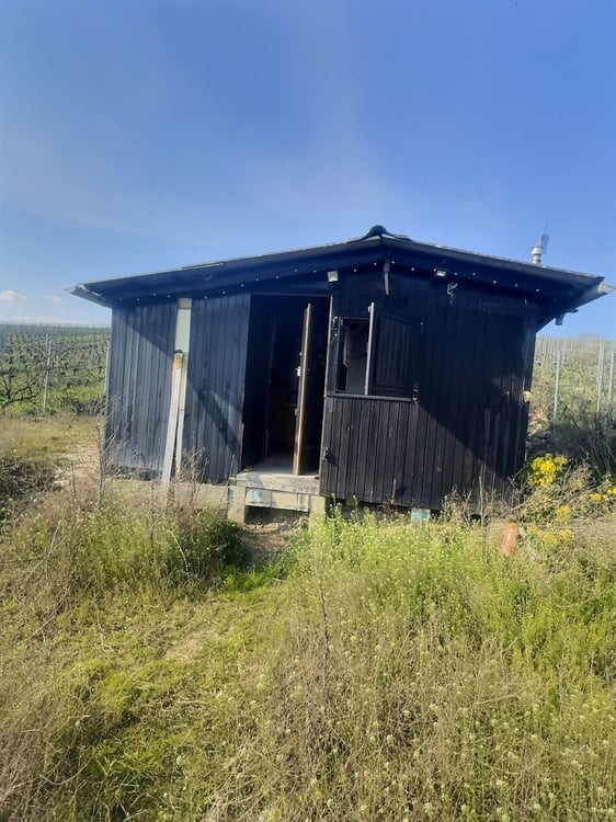 Maisonnette de charme avec terrain pour amoureux du jardin 2