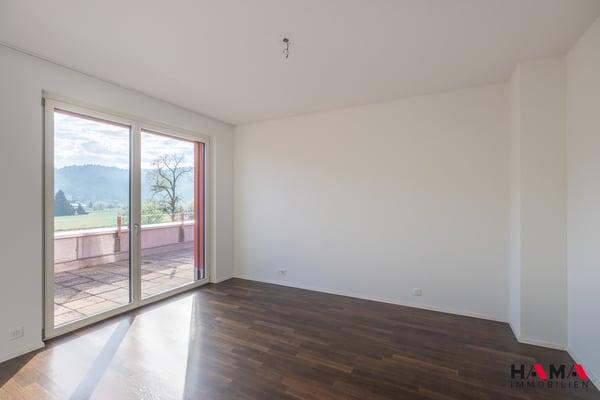 Wunderschöne 3-5 - Zimmer-Attikawohnung 7