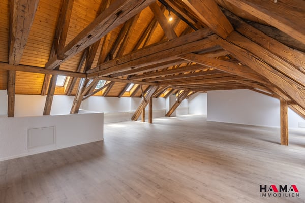 Erstvermietung Loftwohnung 178 m² 1