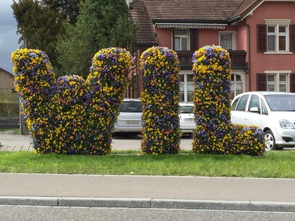 Sonnige Dachwohnung über den Dächern von Wil zu vermieten 16