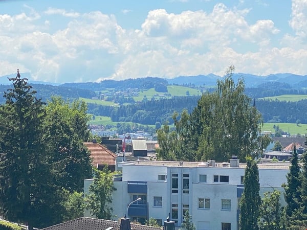 Sonnige Dachwohnung über den Dächern von Wil zu vermieten 10