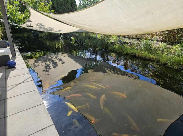 Traumhaus im Grünen sucht Liebhaber 17