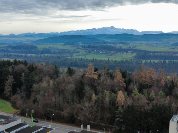 Bauland in Wil an Top Lage 5