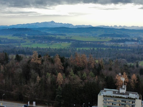 Bauland in Wil an Top Lage 7