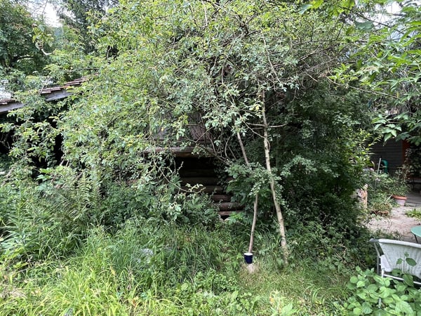 1.5-Zimmer Einfamilienhaus mit einem idyllischen Umschwung, verschiedenen Sitzplätzen + Gartenhaus. 31