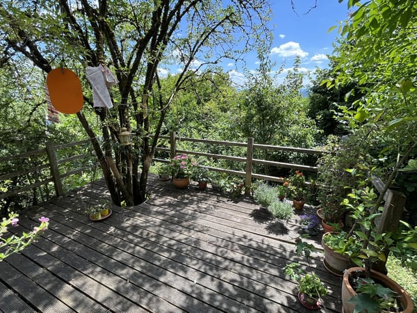 1.5-Zimmer Einfamilienhaus mit einem idyllischen Umschwung, verschiedenen Sitzplätzen + Gartenhaus. 26