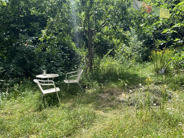 1.5-Zimmer Einfamilienhaus mit einem idyllischen Umschwung, verschiedenen Sitzplätzen + Gartenhaus. 32