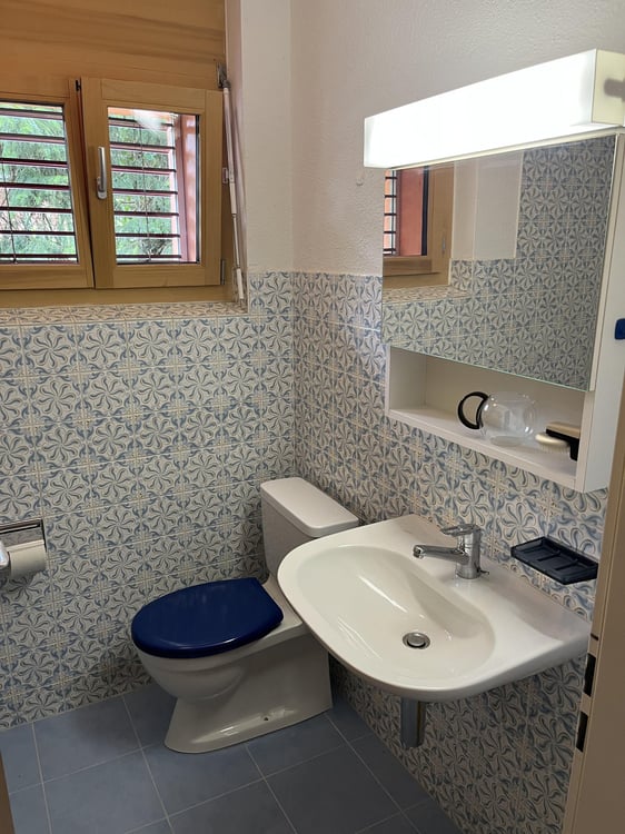 1.5-Zimmer Einfamilienhaus mit einem idyllischen Umschwung, verschiedenen Sitzplätzen + Gartenhaus. 21