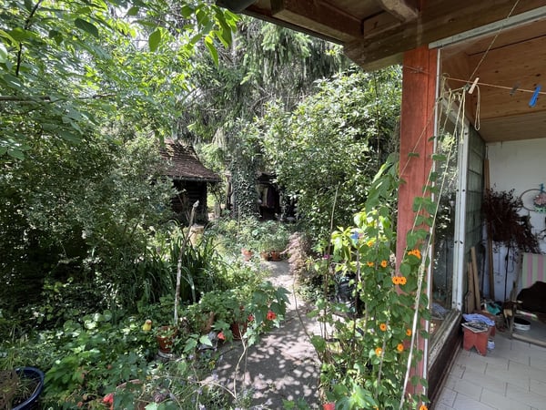 1.5-Zimmer Einfamilienhaus mit einem idyllischen Umschwung, verschiedenen Sitzplätzen + Gartenhaus. 30
