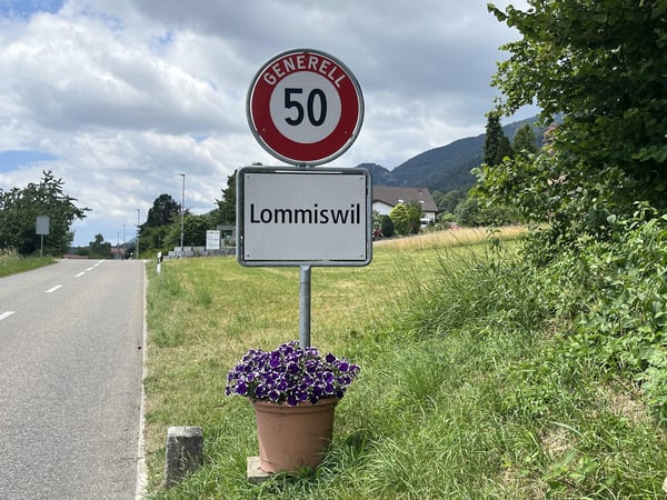 1.5-Zimmer Einfamilienhaus mit einem idyllischen Umschwung, verschiedenen Sitzplätzen + Gartenhaus. 35