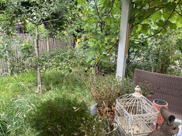Kleinhaus (2.5 Zimmer, neuwertig) mit Garten an idyllischer Lage im Feriendorf Walde (mit Freibad). 26