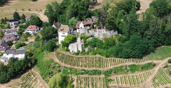 Stilvolles, ruhig gelegenes 6.5-Zimmer-Einfamilienhaus. 41