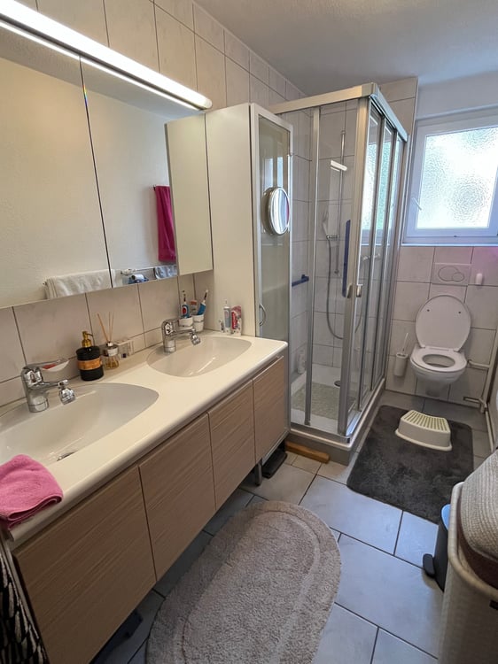 Mehrfamilienhaus mit 4 Wohnungen an schönster Lage direkt an der Aare. 9
