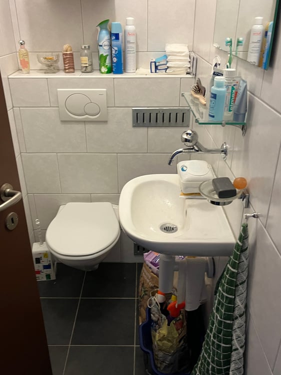 5.5-Zimmer Maisonette-Wohnung mit Gartensitzplatz hoch über dem Greifensee. 11