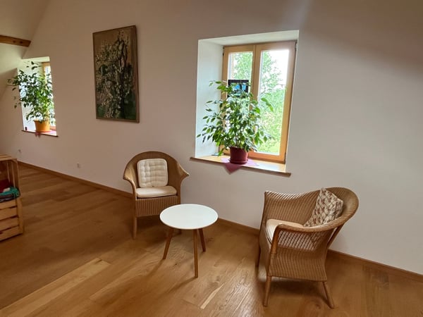Bauernhaus mit 2 Wohnungen und Restaurant (mit weiteren Wohnungen ausbaubar). 10