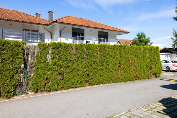 Doppeleinfamilienhaus in Reutigen 2