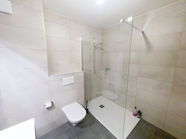 A NE PAS MANQUER - MAGNIFIQUE TRIPLEX 1.5 PIECES 6