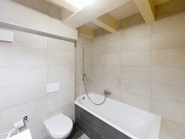 A NE PAS MANQUER - MAGNIFIQUE TRIPLEX 1.5 PIECES 5