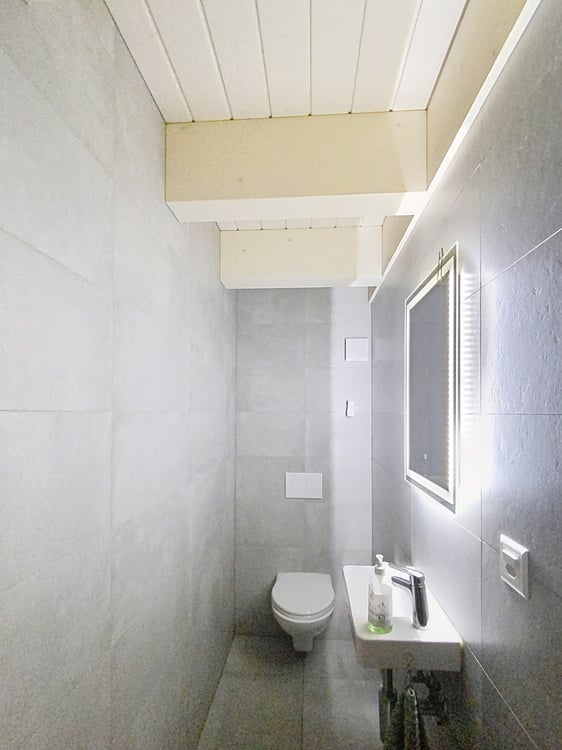 A NE PAS MANQUER - MAGNIFIQUE TRIPLEX 1.5 PIECES 7