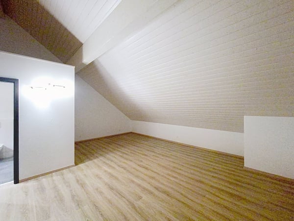 A NE PAS MANQUER - MAGNIFIQUE TRIPLEX 1.5 PIECES 3